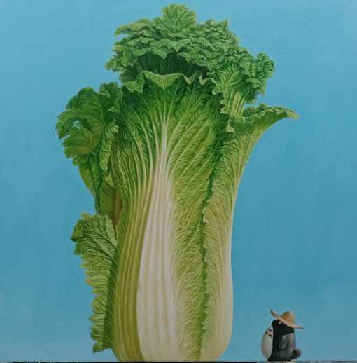 Giant Cabbage