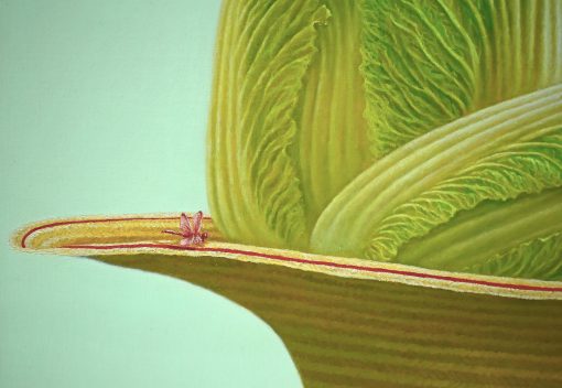 Slient Moment - Image 4