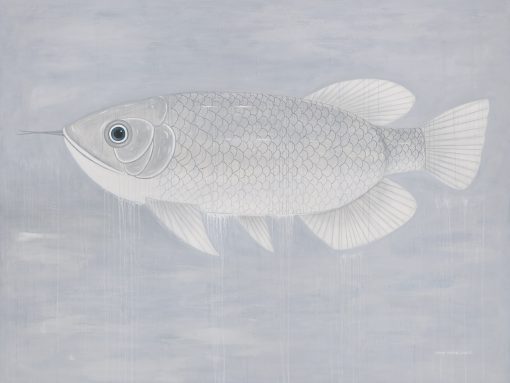Fish #11
