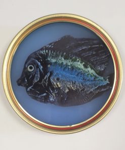 Sea Circus - Sardine Can Art #2