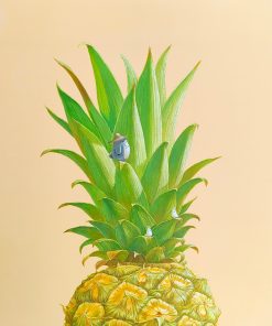 Tropical Jungle