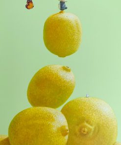 Metamorphosis