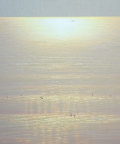 Shining Sun Reflection
