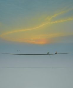 Dreamscape V167