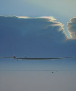 Dreamscape V170