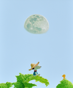 Wish Upon The Moon